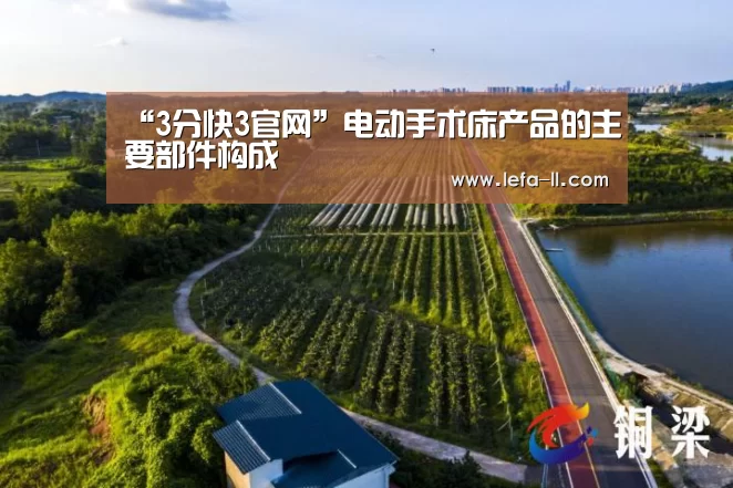 “3分快3官网”电动手术床产品的主要部件构成(图2) 3分快3开奖查询