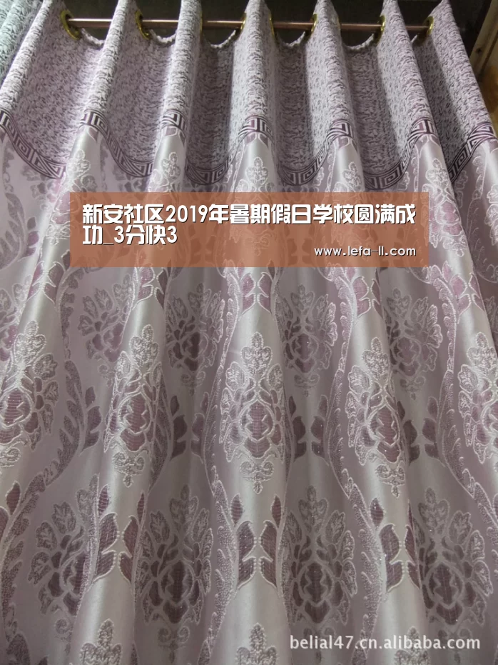 新安社区2019年暑期假日学校圆满成功_3分快3