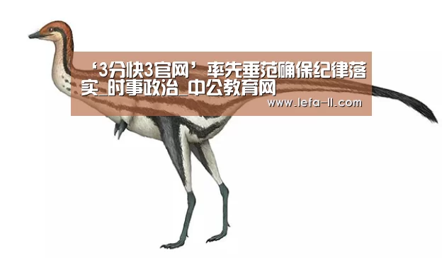 ‘3分快3官网’率先垂范确保纪律落实_时事政治_中公教育网