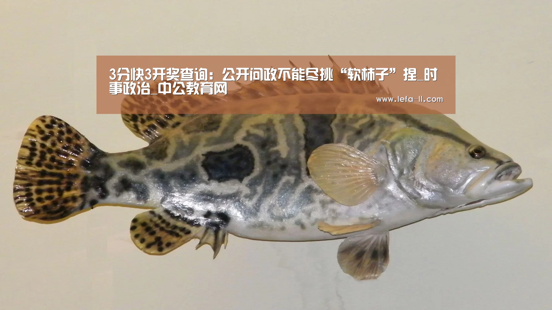 3分快3官网