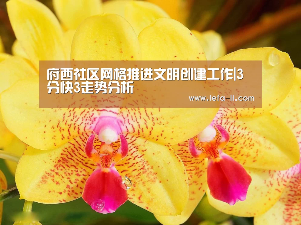 府西社区网格推进文明创建工作|3分快3走势分析