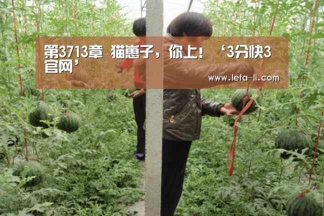 第3713章 猫崽子，你上！‘3分快3官网’