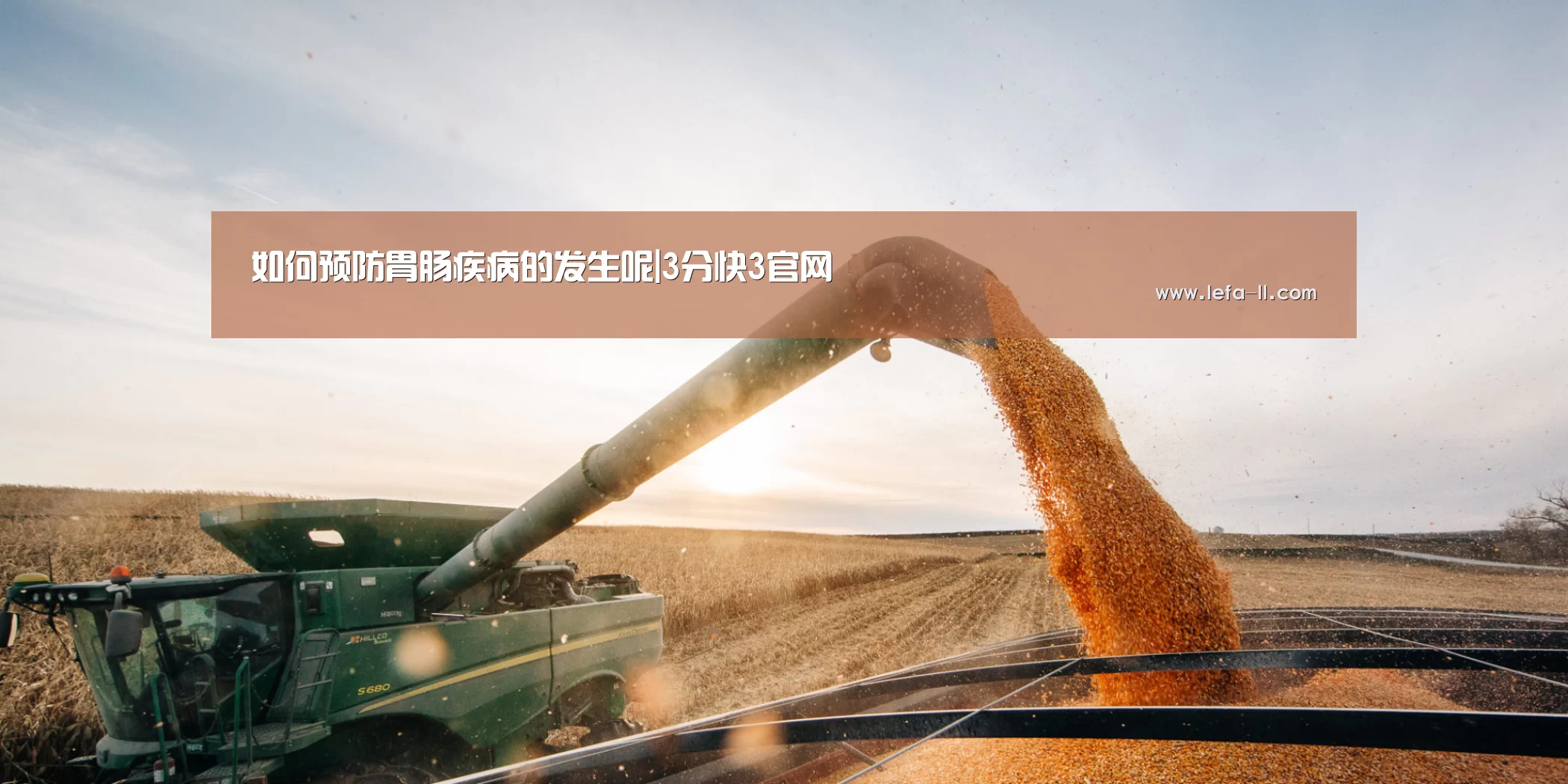 如何预防胃肠疾病的发生呢|3分快3官网