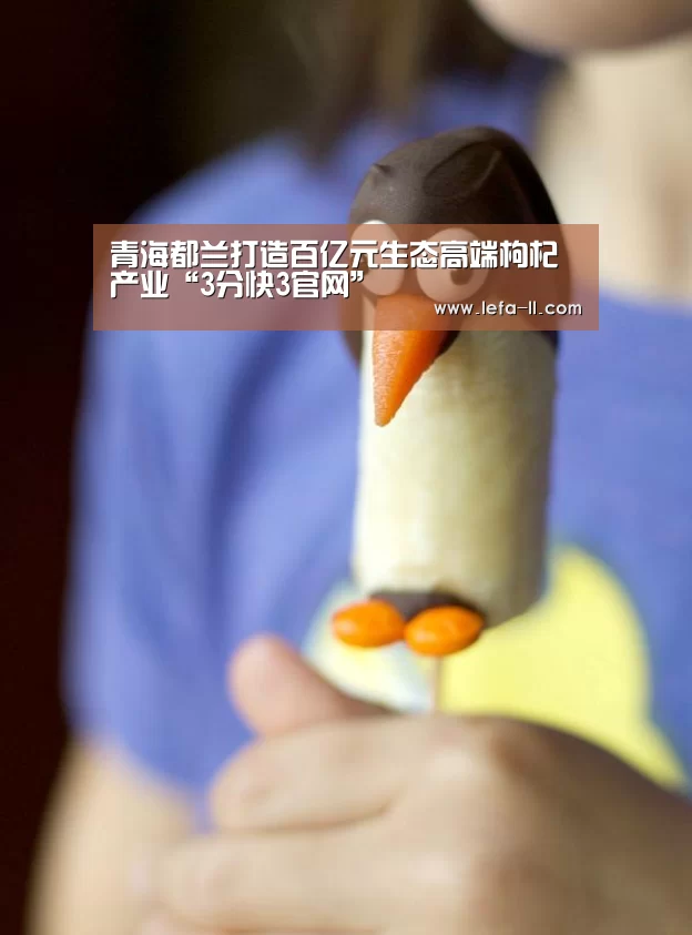青海都兰打造百亿元生态高端枸杞产业“3分快3官网”(图4) 3分快3走势分析