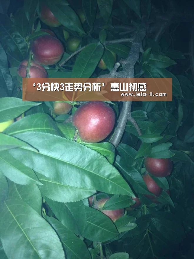 ‘3分快3走势分析’惠山初感(图2) 3分快3走势分析