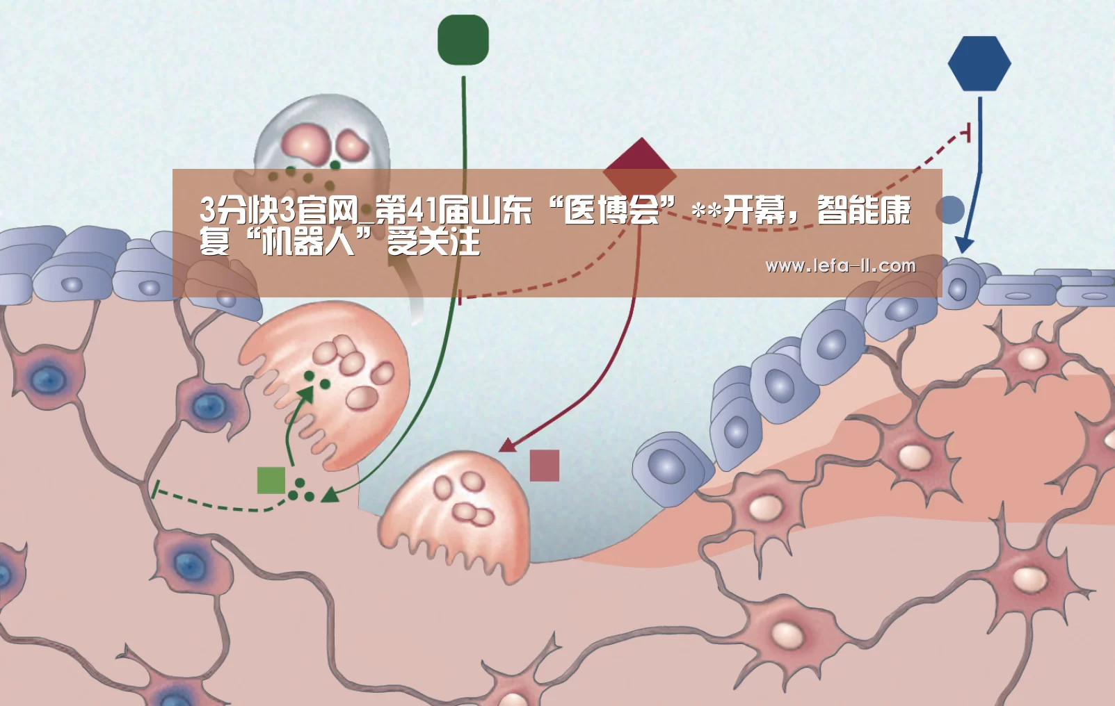 3分快3官网