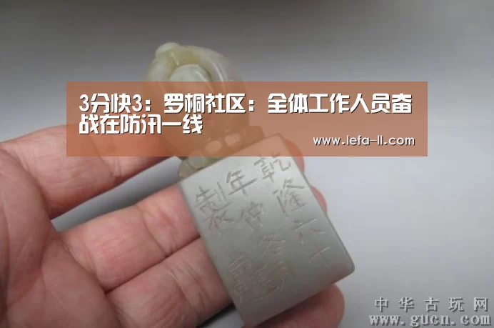 3分快3：罗桐社区：全体工作人员奋战在防汛一线